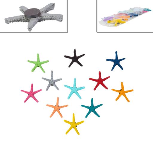 Starfish MAGNET Set Of 12 Colours