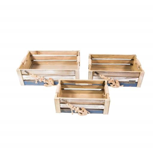Set Of 3 Serving/Storage Tray