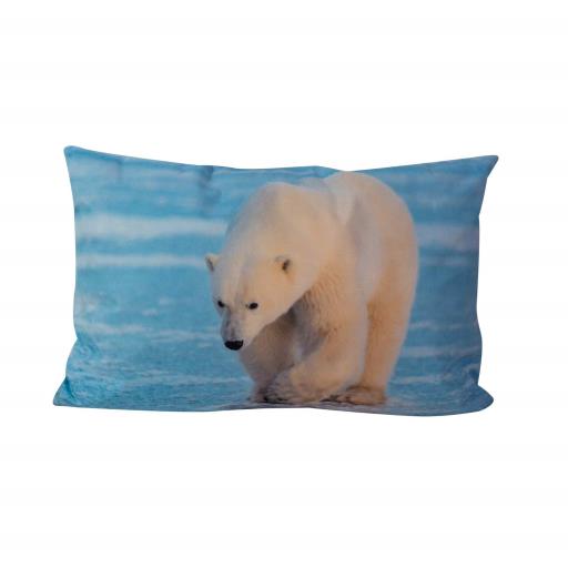 Cushion PolAr BeAr