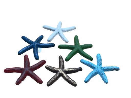 CAST IRON Starfish Asst. 6