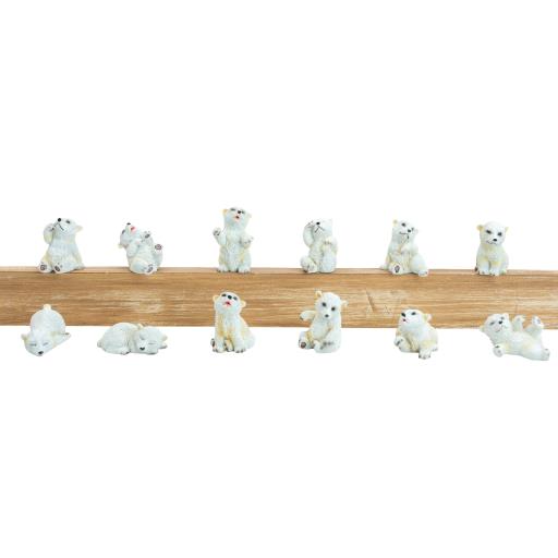 Polar BEAR Asst.12