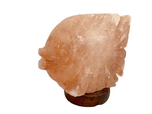 Himalayan Salt LAMP Fish Paplate Shape With Wooden Base